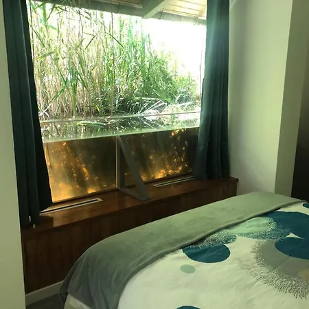 Domaine De Pont Vieux