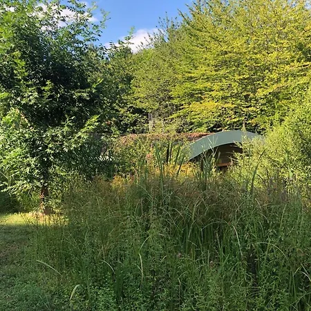 度假居 Domaine De Pont Vieux 德罗讷河畔欧布泰尔