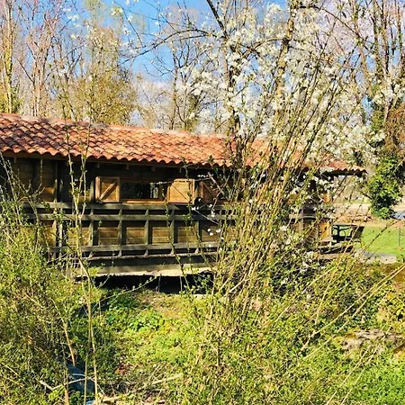 Domaine De Pont Vieux Holiday home *