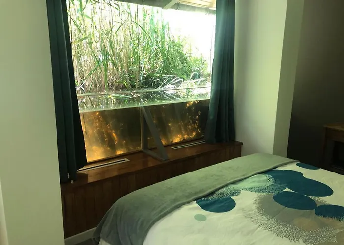 Domaine De Pont Vieux